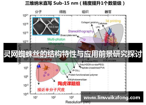 灵网蜘蛛丝的结构特性与应用前景研究探讨
